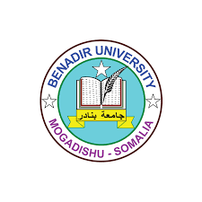 Banadir University